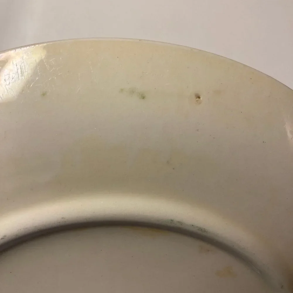 Vintage Blue Ridge Southern Potteries Plantation Ivy Luncheon Plate  3/8 inches